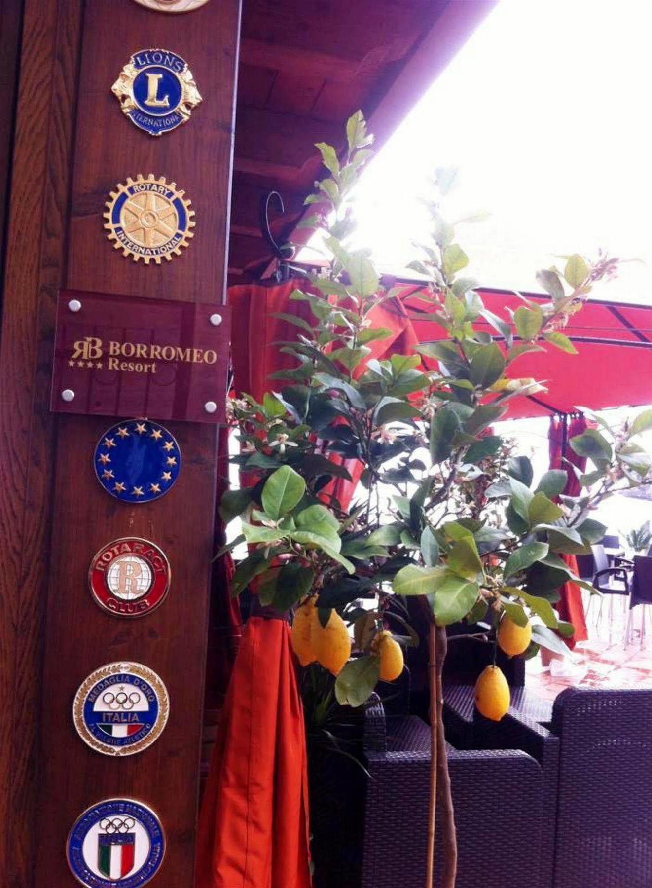 Borromeo Hotel 3*